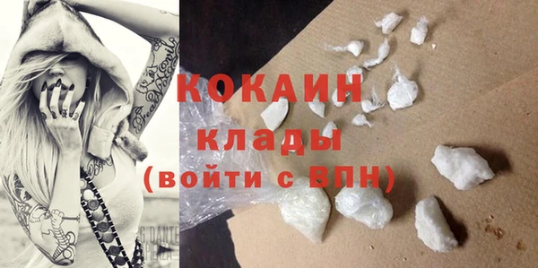 сатива Абинск